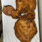 Rare Live Edge Olive Wood Slab (44x64cm) - Super Dry Epoxy Resin Lumber for Coffee Table, Clock & Guitar Body - Unique Natural Grain Art.