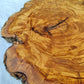 Rare Olive Wood Live Edge Slab – 40x44x3 cm Unique Grain Sustainable Luxury for Epoxy Table Clock & Crafts - Olive