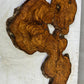 Rare Olive Wood Slab 31x55cm for Epoxy Resin & Guitar Body | Live Edge Sustainable Luxury | Unique Grain Luthier Wood | Super Dry DIY Art.