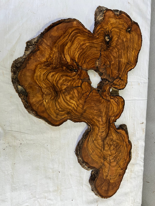 Rare Olive Wood Slab 31x55cm for Epoxy Resin & Guitar Body | Live Edge Sustainable Luxury | Unique Grain Luthier Wood | Super Dry DIY Art.