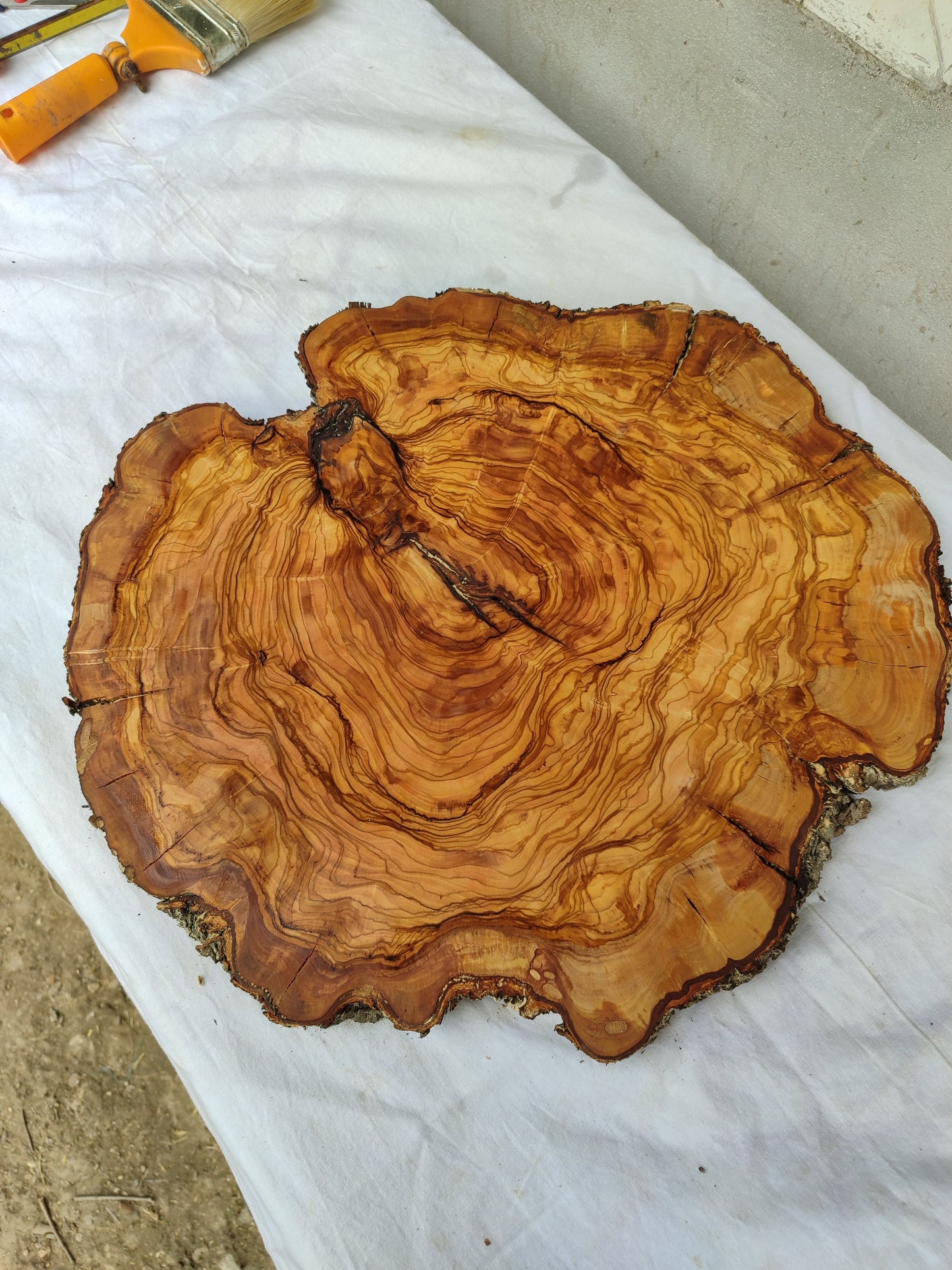 Rare Olive Wood Live Edge Slab – 42x43x2.5 cm Unique Grain Sustainable Luxury Premium Natural Finish Epoxy Friendly