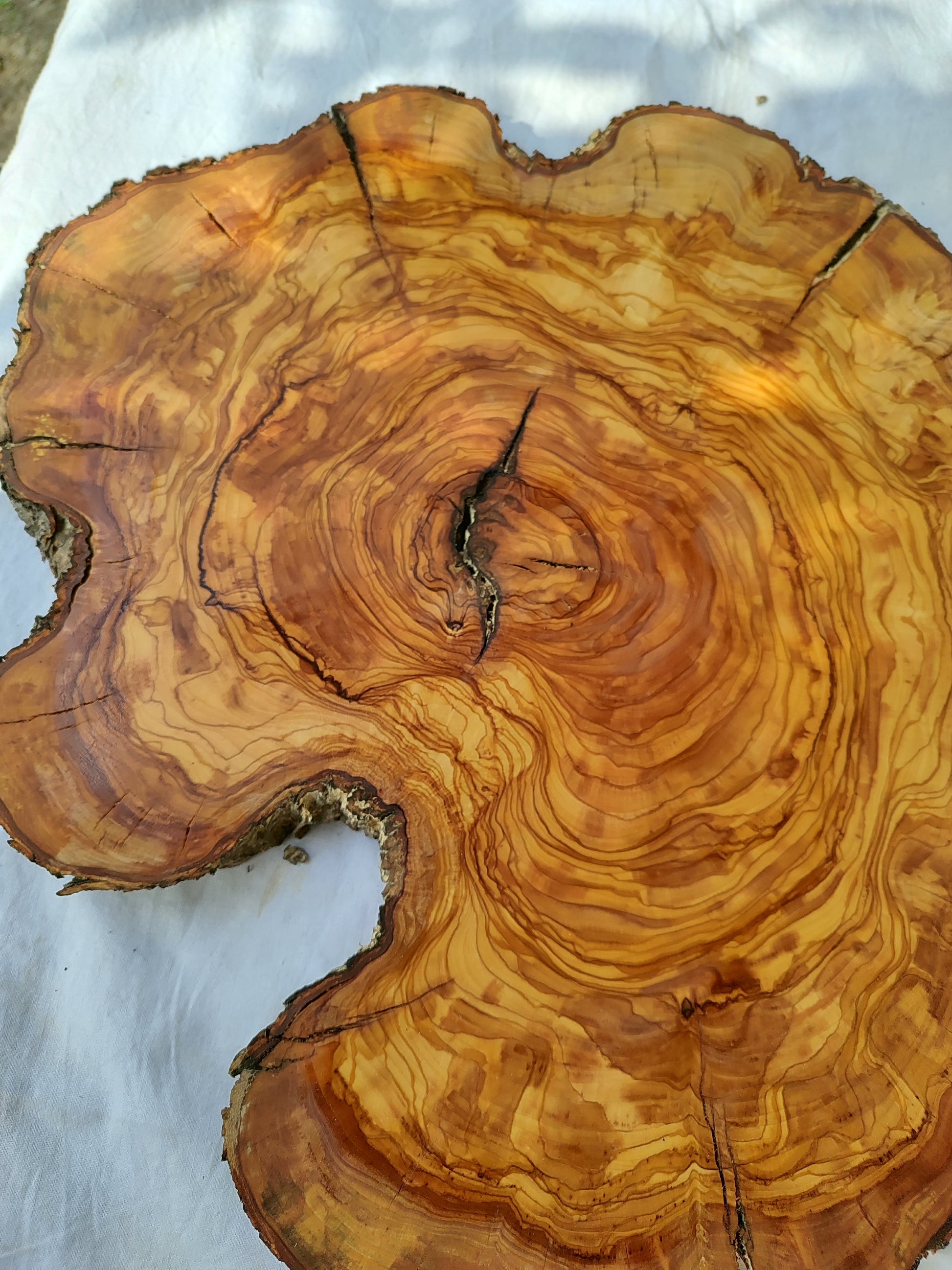 Rare Olive Wood Live Edge Slab – Sustainable Luxury Unique Grain 37x40x2.5cm Premium Natural Finish - Olive Generic