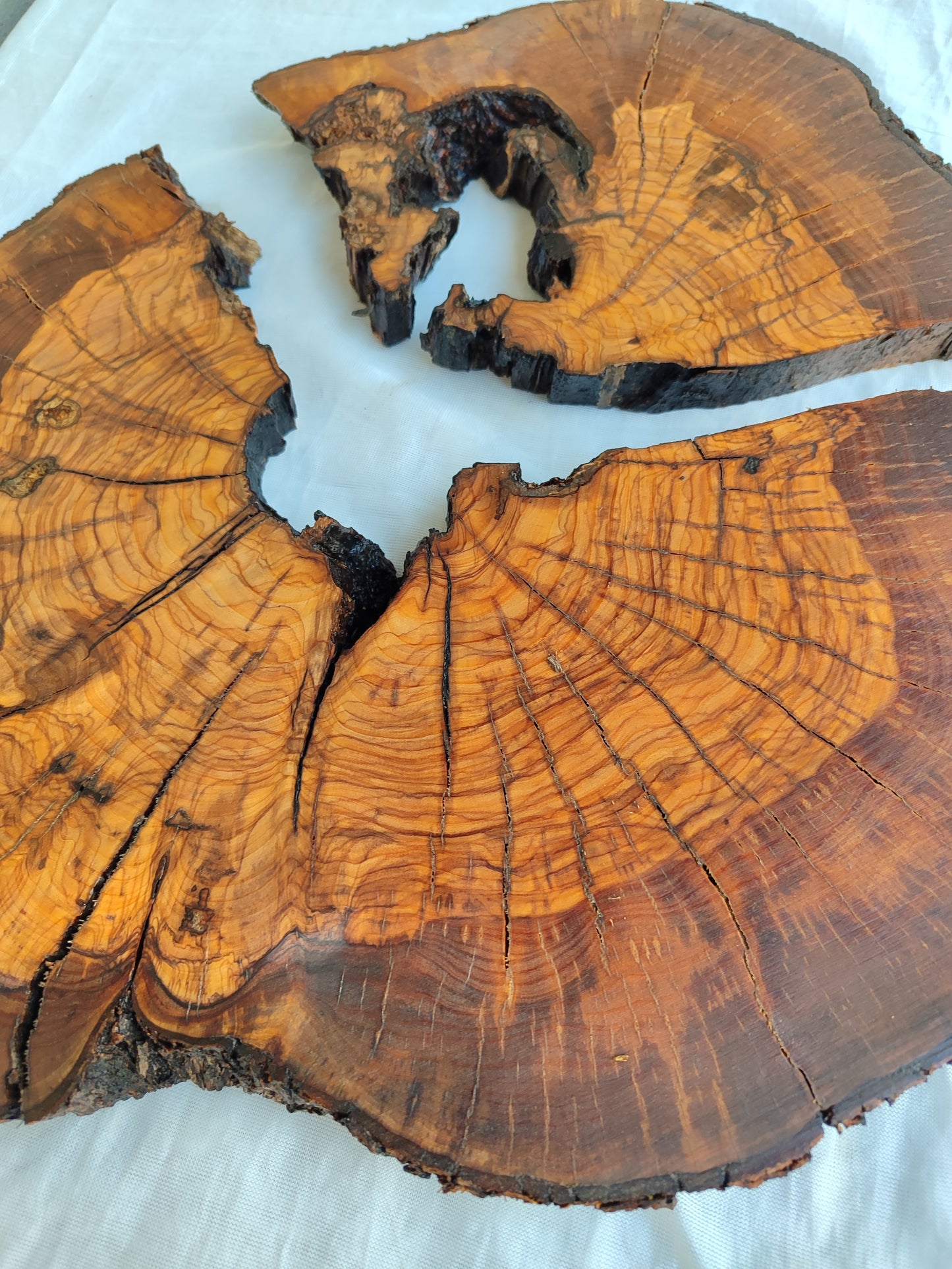 Rare Olive Wood Slab - Live Edge Slab, Unique Grain, Sustainable Luxury - 36x38x2.5 cm