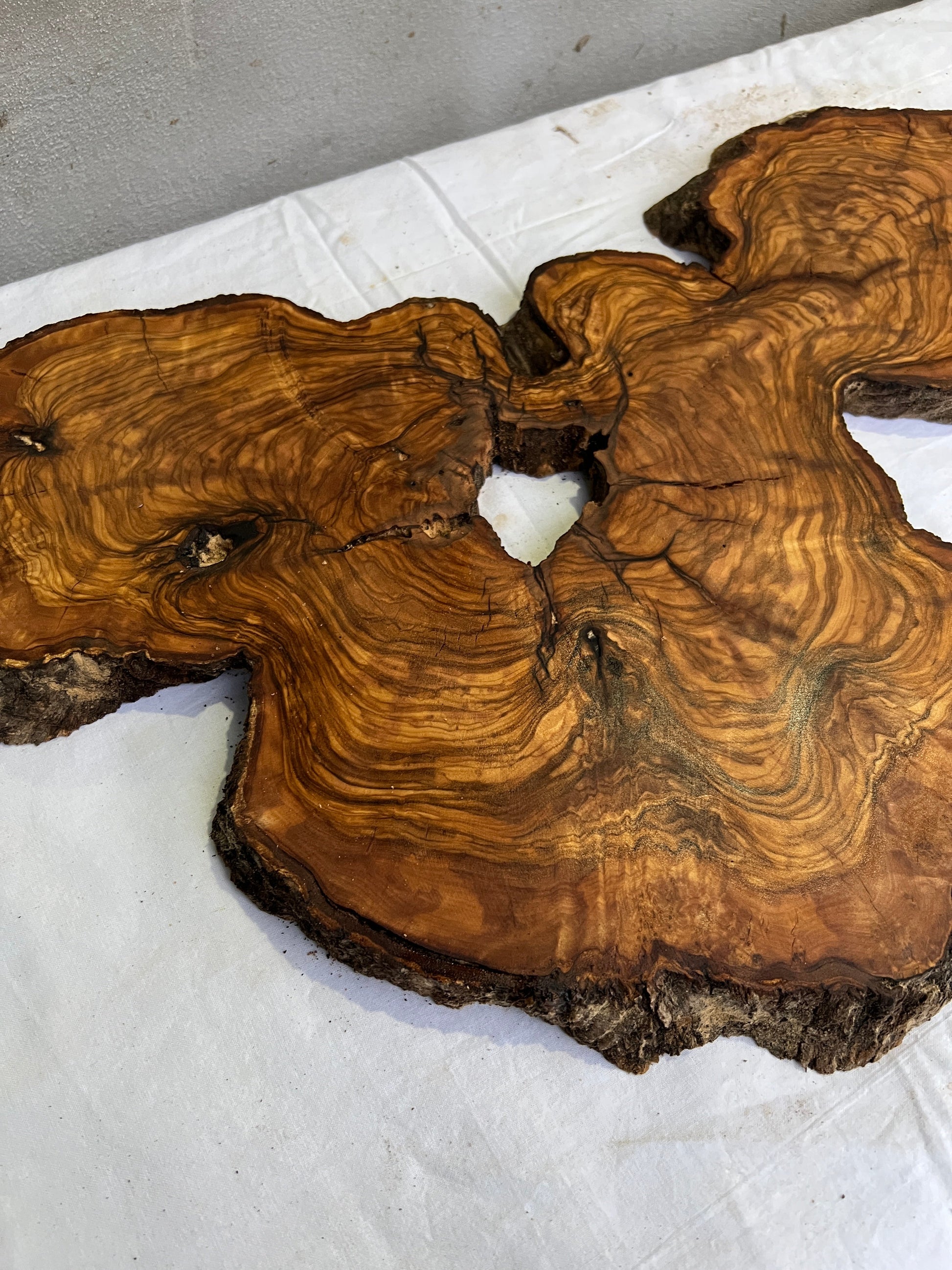 Rare Olive Wood Slab 31x55cm for Epoxy Resin & Guitar Body | Live Edge Sustainable Luxury | Unique Grain Luthier Wood | Super Dry DIY Art.