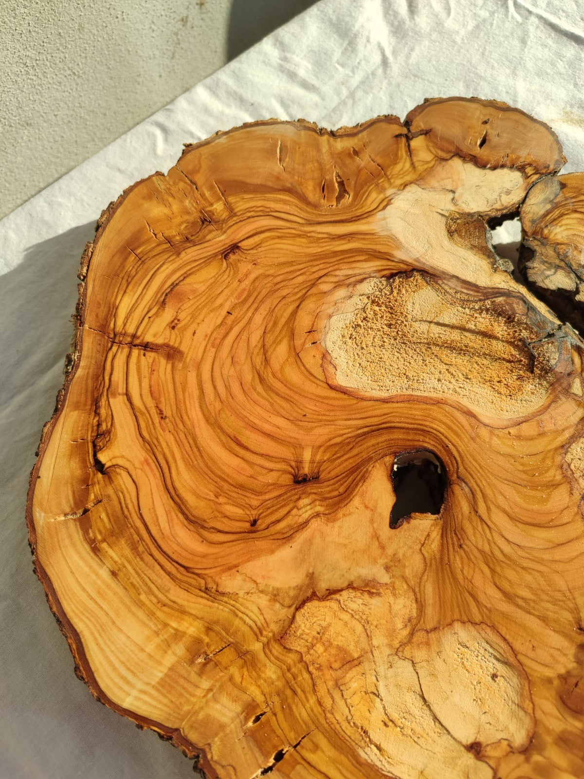 200+ Year Old Olive Wood Slab | Live Edge Olive Wood Slice for Epoxy.