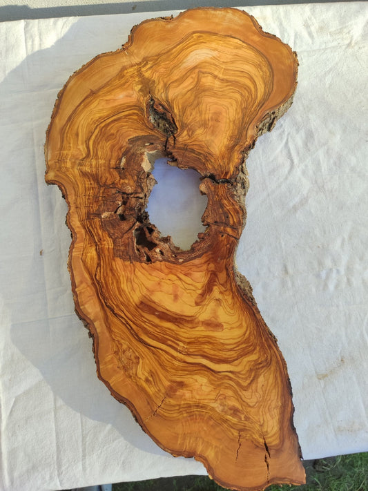 200+ Year Old Olive Wood Slab | Long Live Edge Olive Wood Slice.