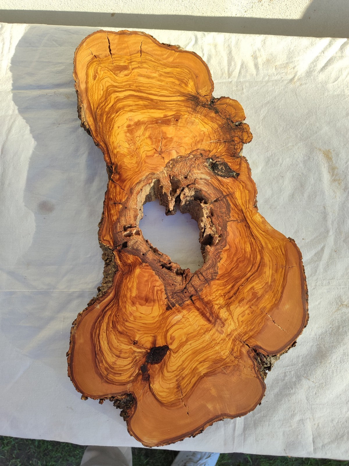 Large Olive Wood Slab 200+ Years | Live Edge Wood Slice 50x34cm for Epoxy.