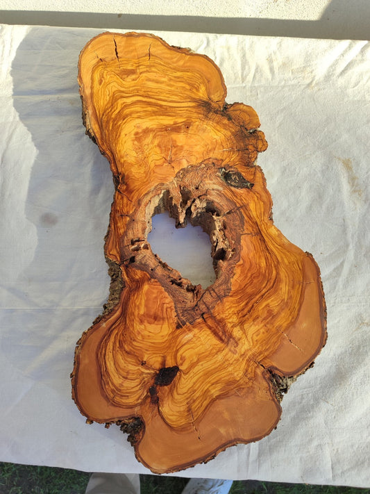 Large Olive Wood Slab 200+ Years | Live Edge Wood Slice 50x34cm for Epoxy.