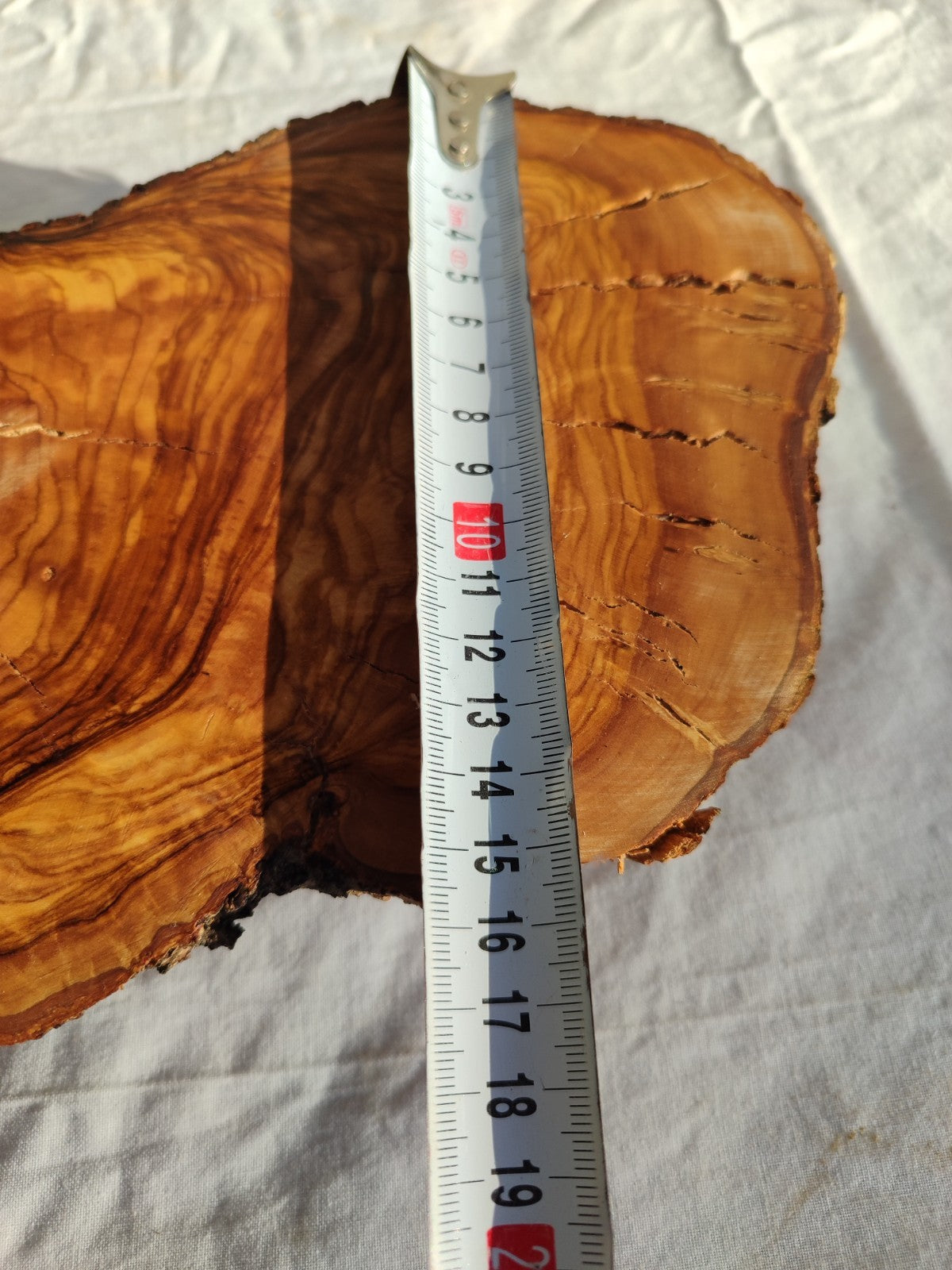 200+ Year Old Olive Wood Slab | Thick Live Edge Olive Wood Slice.