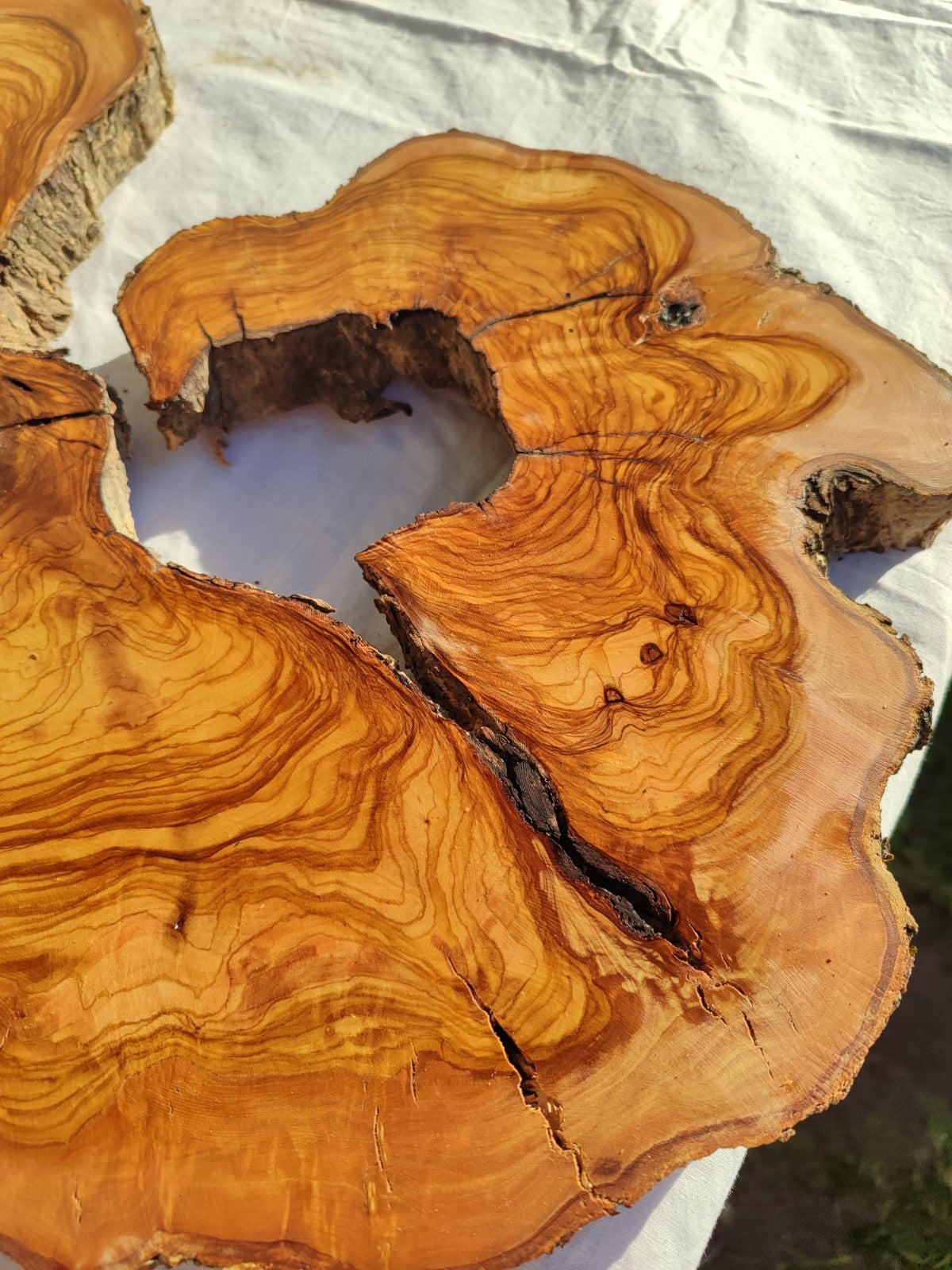 Large Olive Wood Slab 200+ Years | Live Edge Wood Slice 50x34cm for Epoxy.