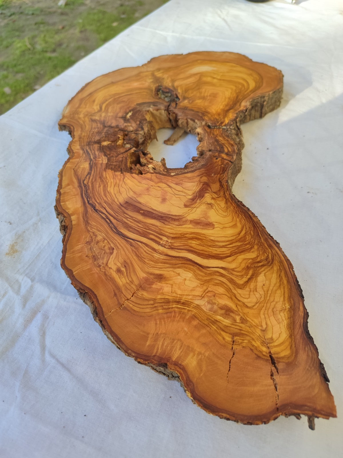 200+ Year Old Olive Wood Slab | Long Live Edge Olive Wood Slice.