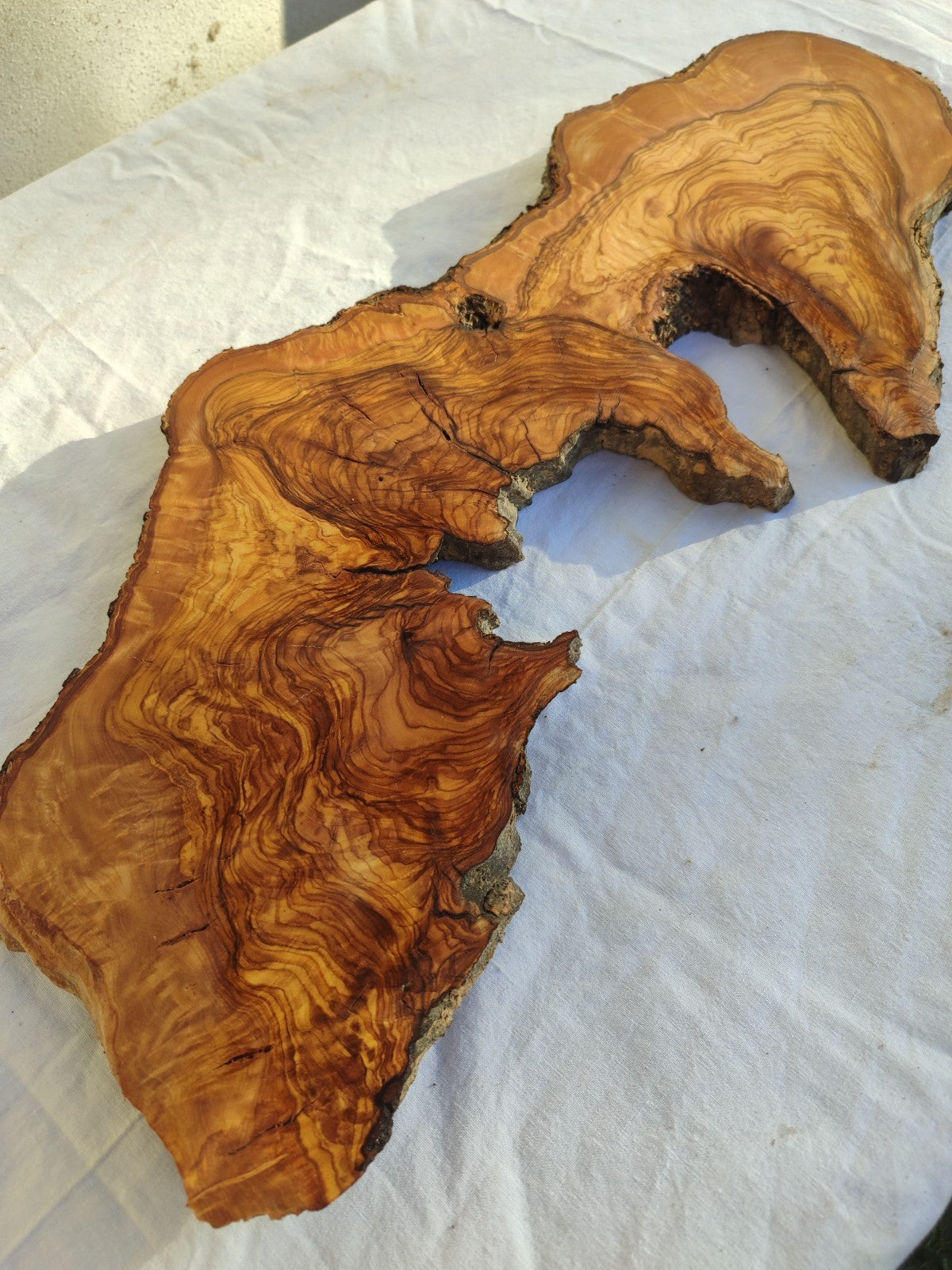 Long Olive Wood Slab | Live Edge Wood Slice for Sculptural Wall Art & Decor.