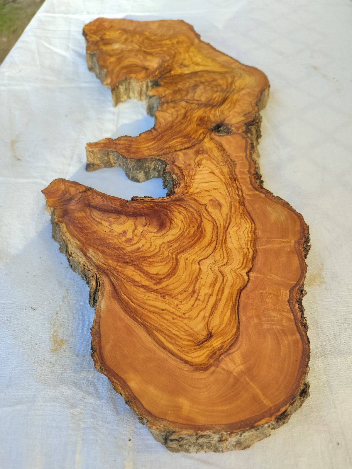 Long Olive Wood Slab | Live Edge Wood Slice for Sculptural Wall Art & Decor.