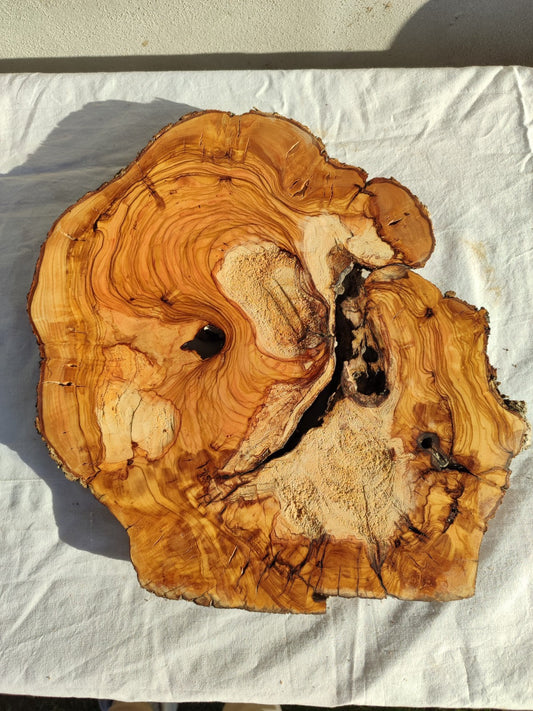 200+ Year Old Olive Wood Slab | Live Edge Olive Wood Slice for Epoxy.