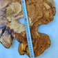 Natural 200+ Year Old Live Edge Wood Slice for Craft & Woodworking.