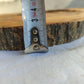 200+ Year Old Olive Wood Slab | Long Live Edge Olive Wood Slice.