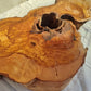 200+ Year Old Olive Wood Slab | Thick Live Edge Olive Wood Slice.