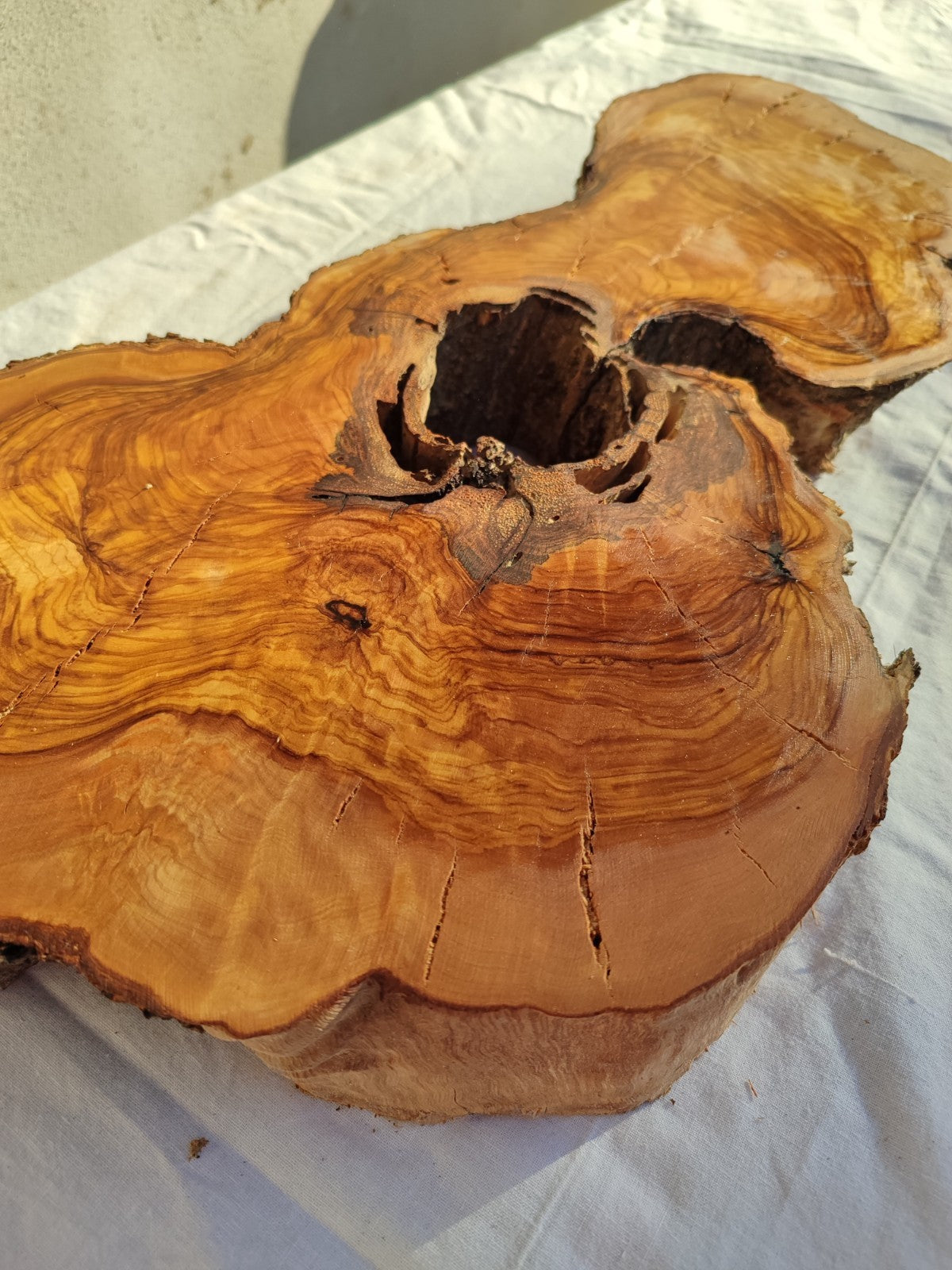 200+ Year Old Olive Wood Slab | Thick Live Edge Olive Wood Slice.