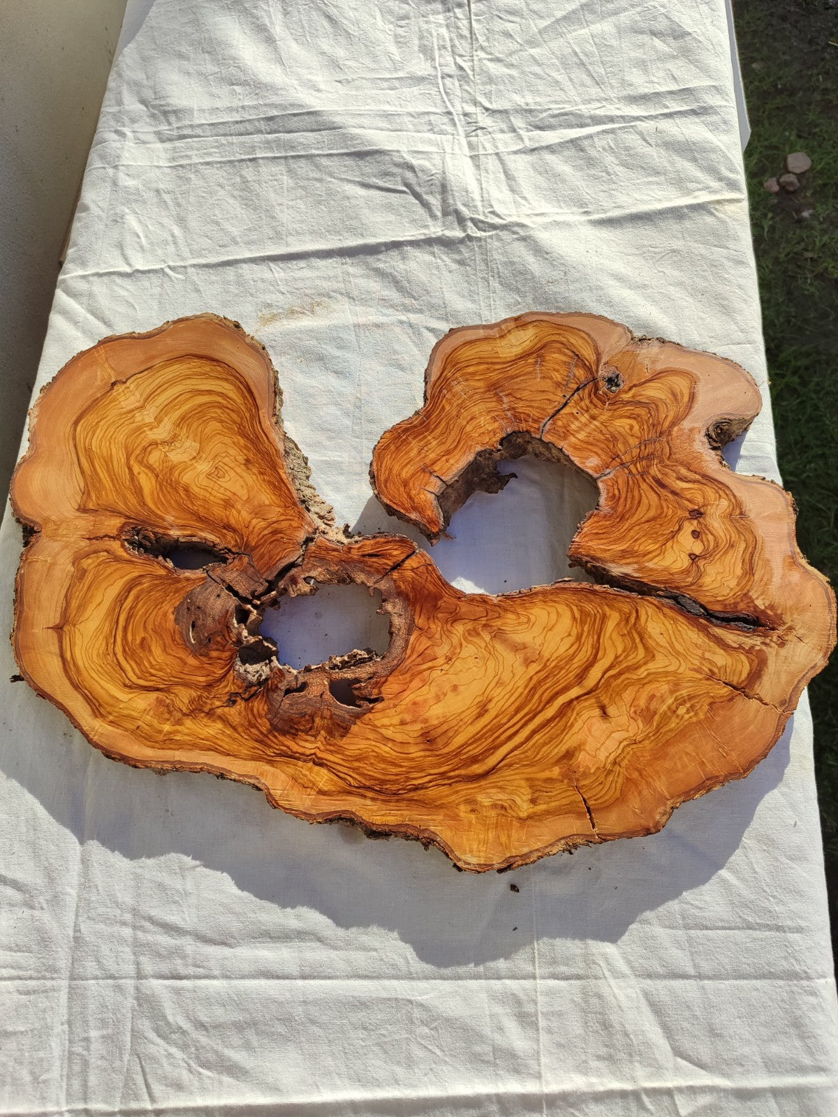 Large Olive Wood Slab 200+ Years | Live Edge Wood Slice 50x34cm for Epoxy.