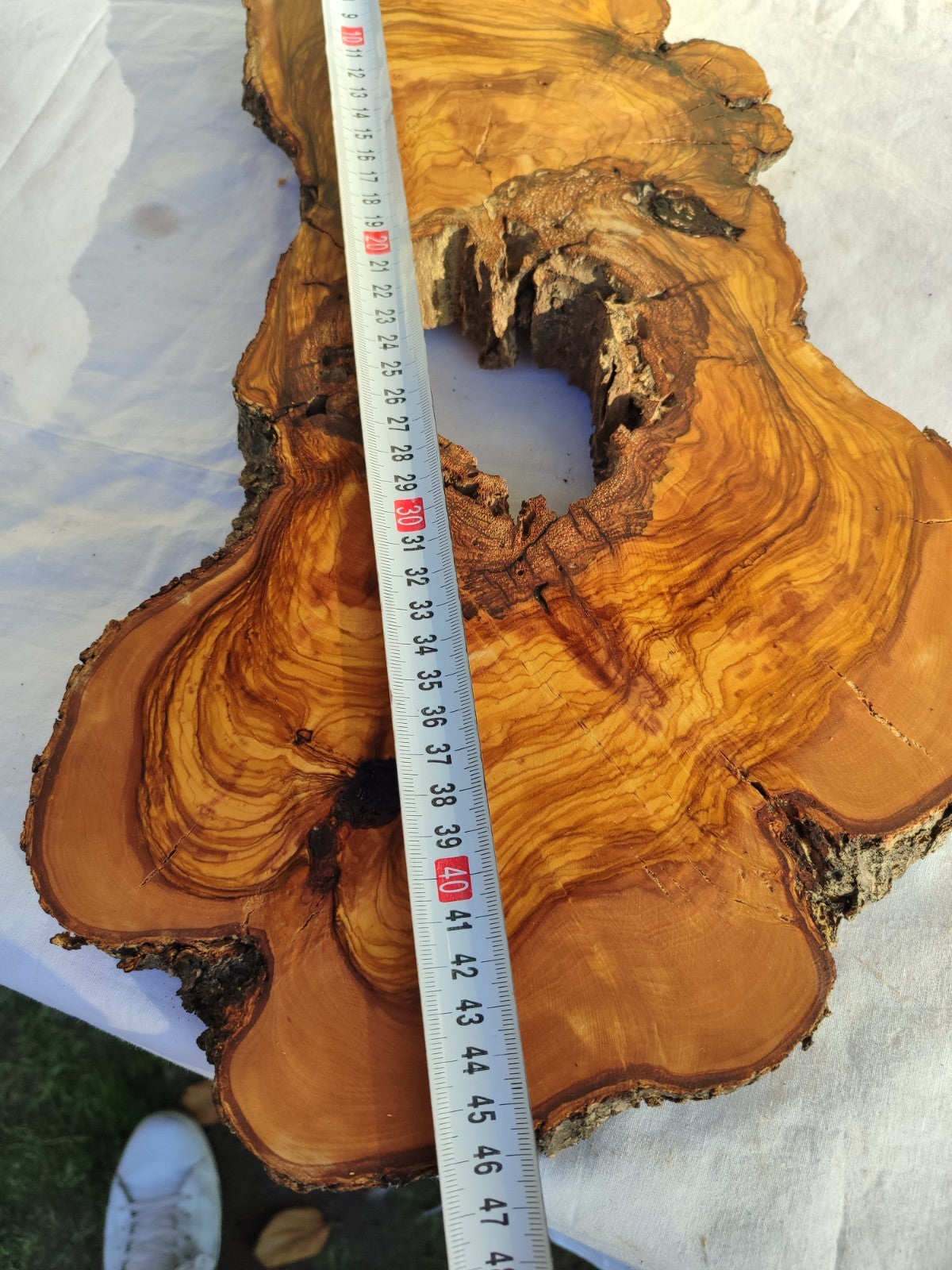 Large Olive Wood Slab 200+ Years | Live Edge Wood Slice 50x34cm for Epoxy.
