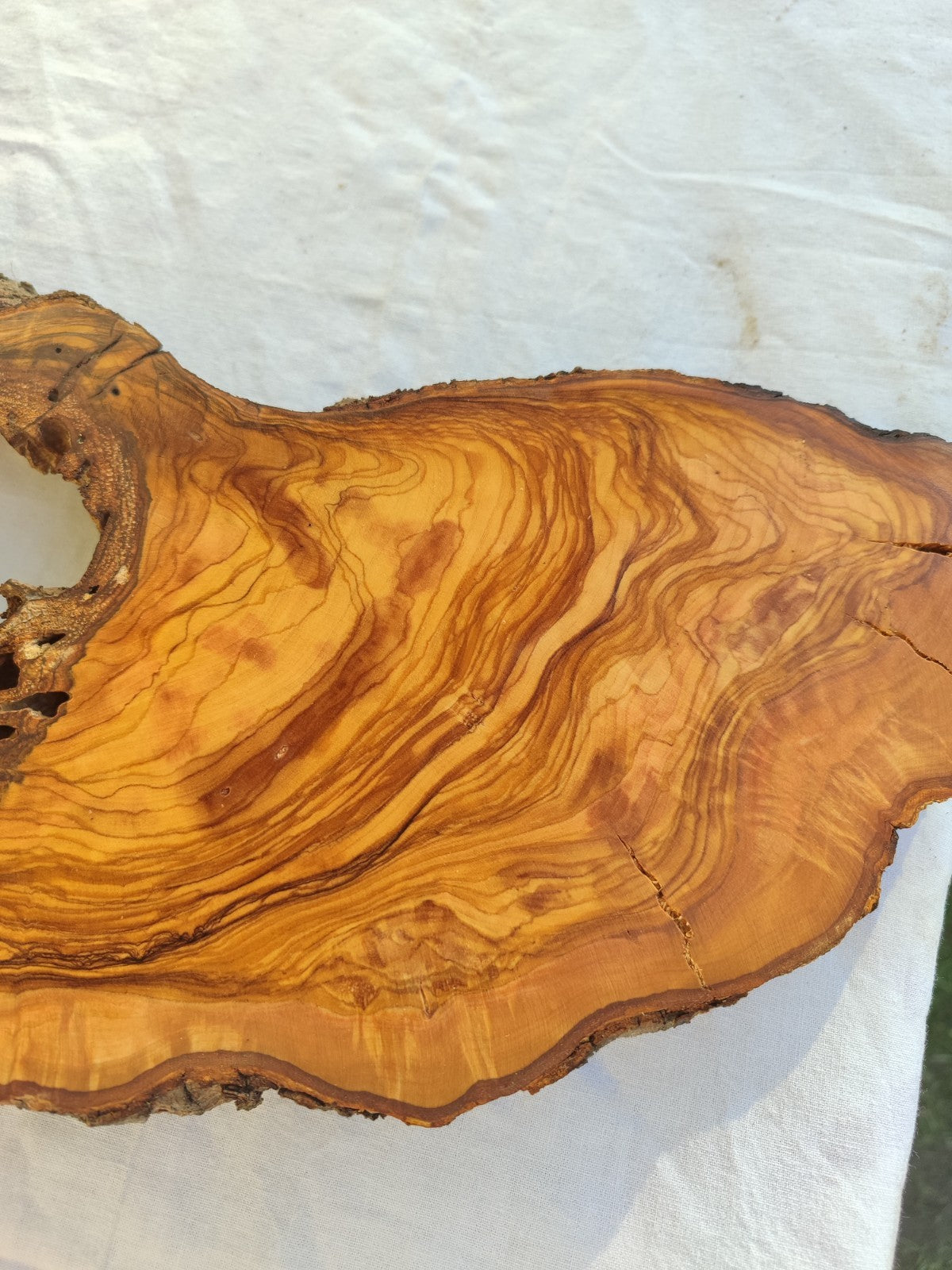 200+ Year Old Olive Wood Slab | Long Live Edge Olive Wood Slice.