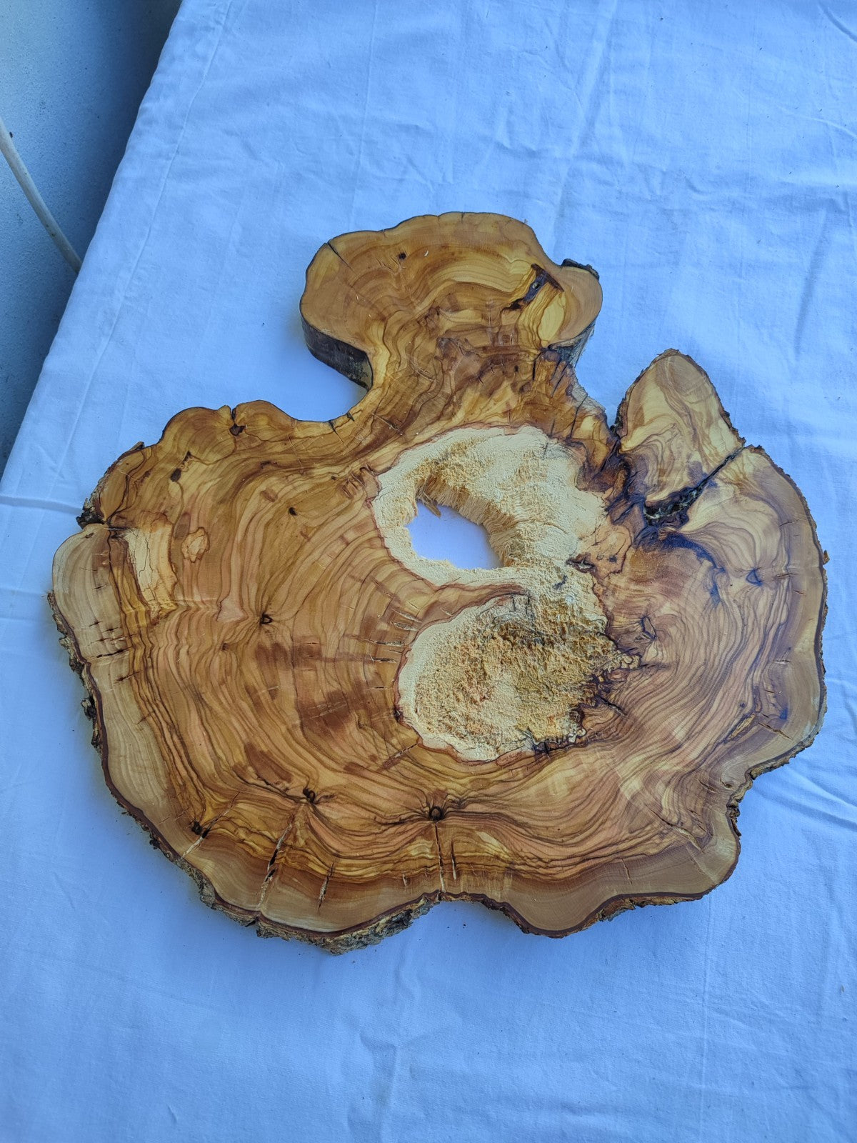 Natural 200+ Year Old Live Edge Wood Slice for Craft & Woodworking.