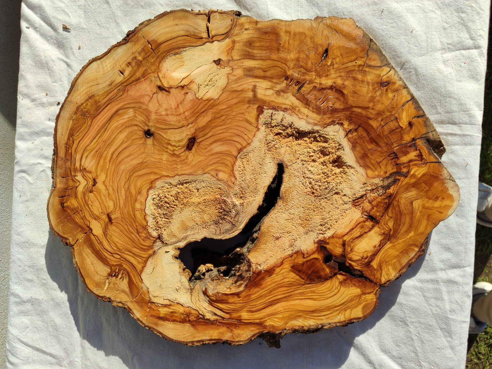 Natural Olive Wood Slab | Live Edge Olive Wood Slice for Craft, Woodworking.