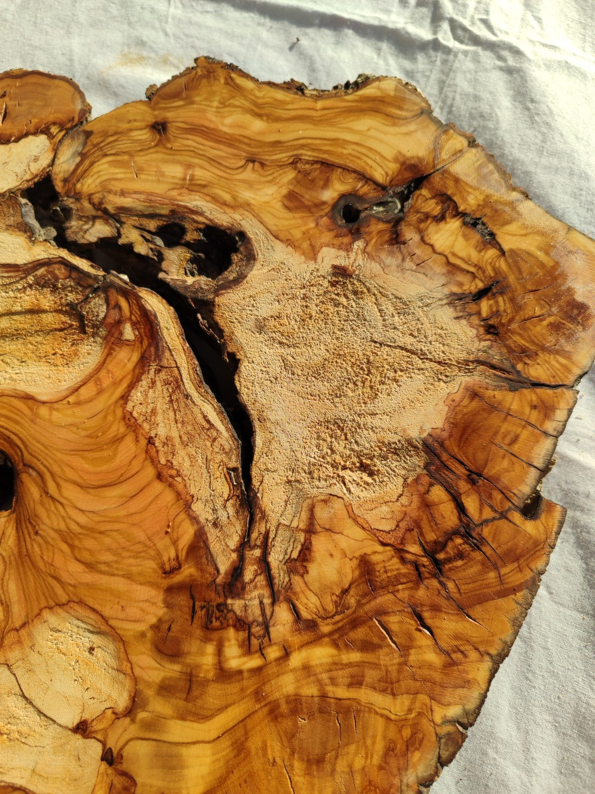 200+ Year Old Olive Wood Slab | Live Edge Olive Wood Slice for Epoxy.