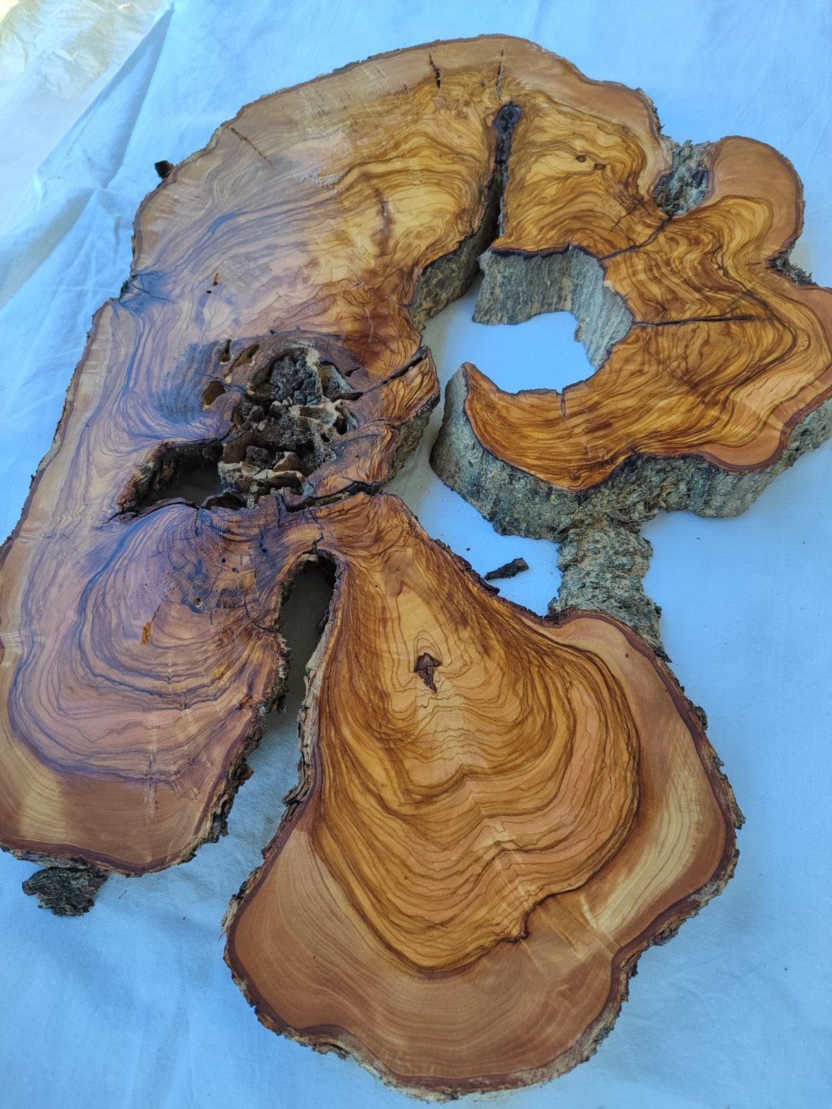 200+ Year Live Edge Olive Wood with Natural Voids for Epoxy Table.