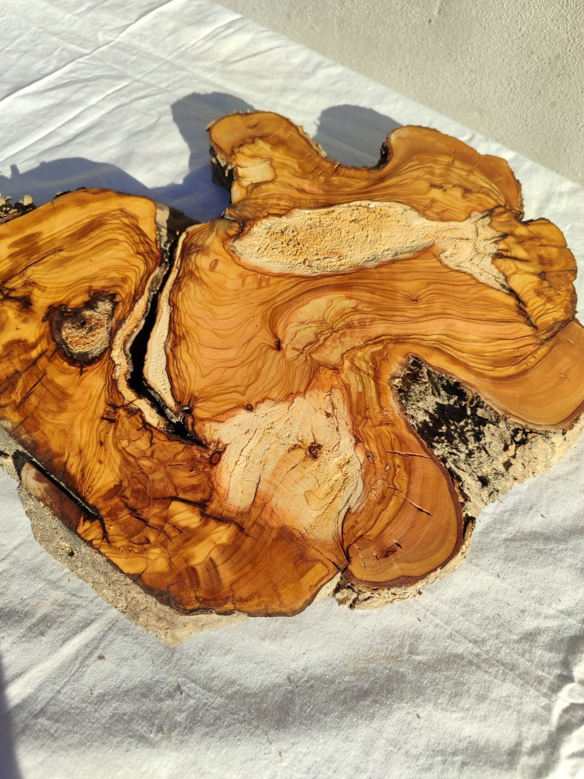 200+ Year Old Live Edge Olive Wood Slice for Epoxy Resin Art.