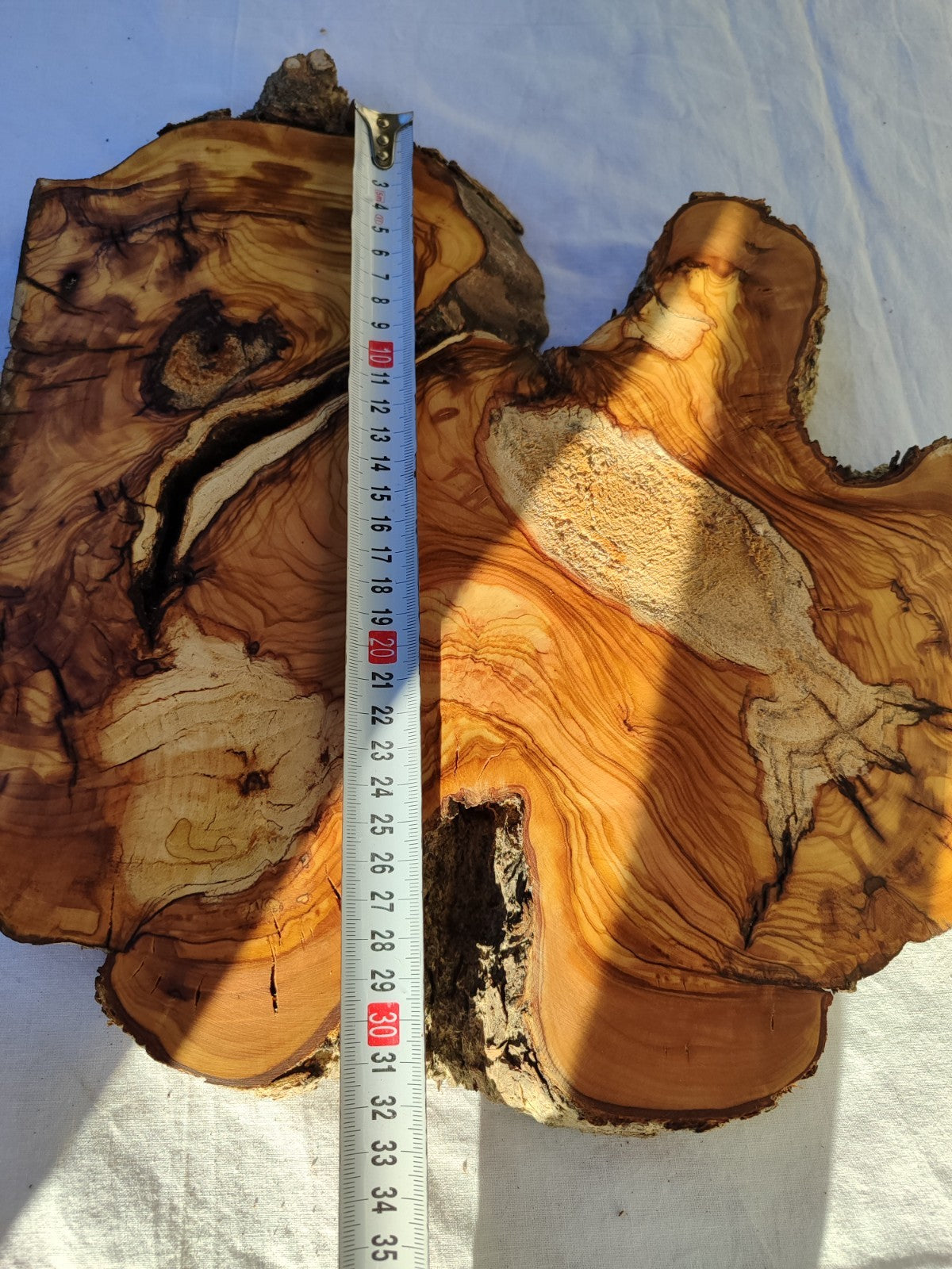 200+ Year Old Live Edge Olive Wood Slice for Epoxy Resin Art.