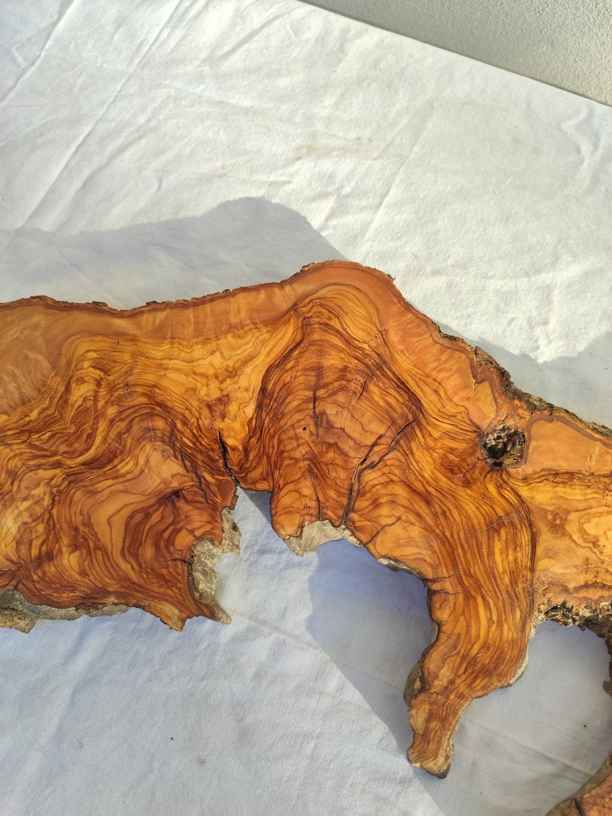 Long Olive Wood Slab | Live Edge Wood Slice for Sculptural Wall Art & Decor.