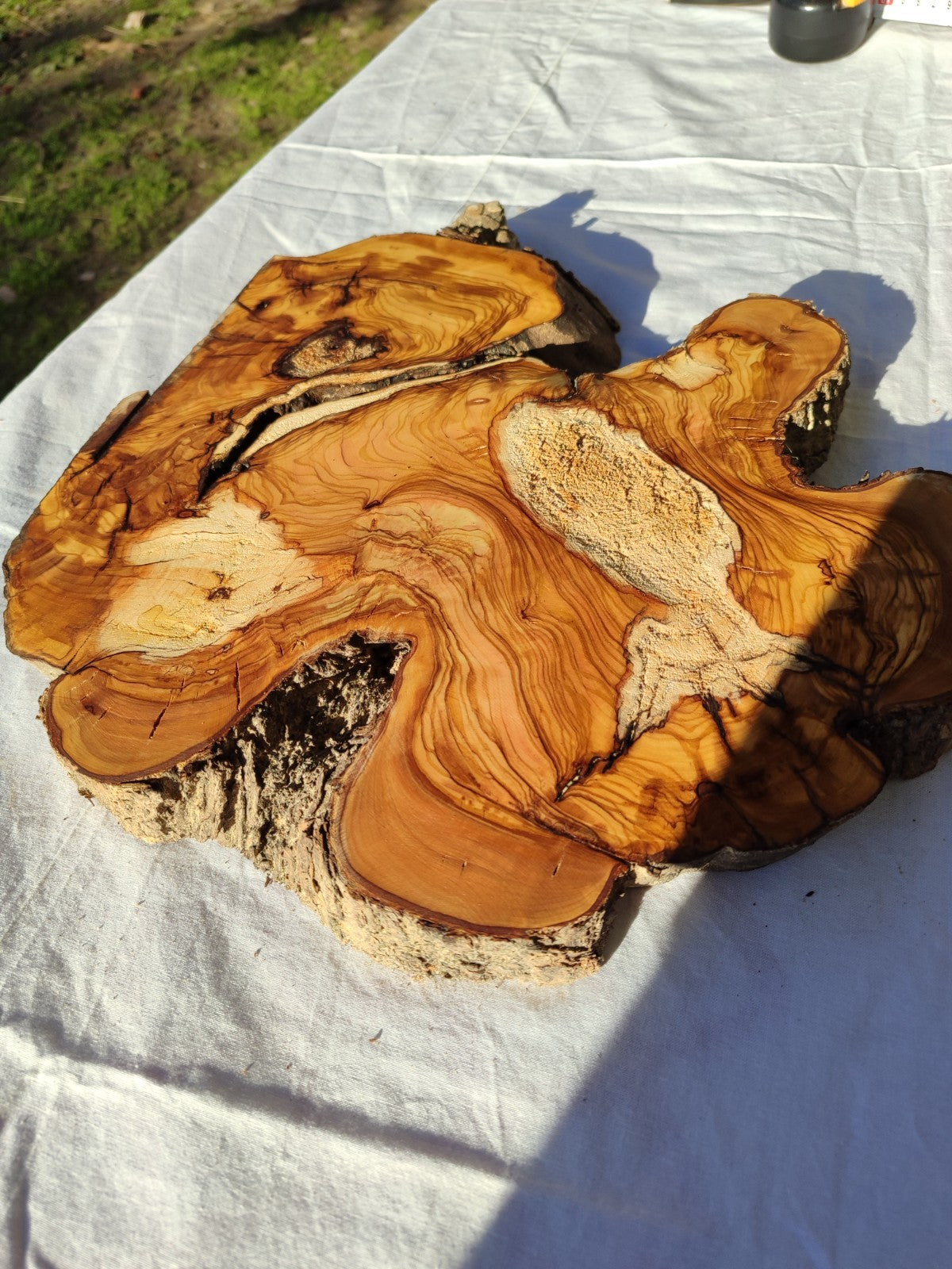 200+ Year Old Live Edge Olive Wood Slice for Epoxy Resin Art.