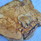 Small Olive Wood Slab 200+ Years | Live Edge Olive Wood Slice for Epoxy.