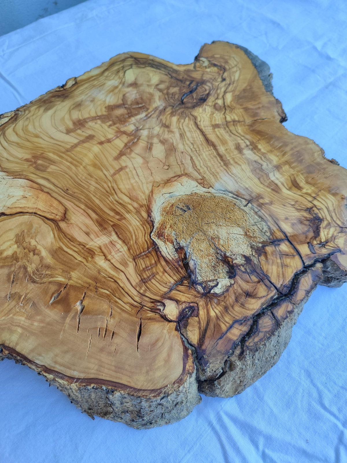 Small Olive Wood Slab 200+ Years | Live Edge Olive Wood Slice for Epoxy.