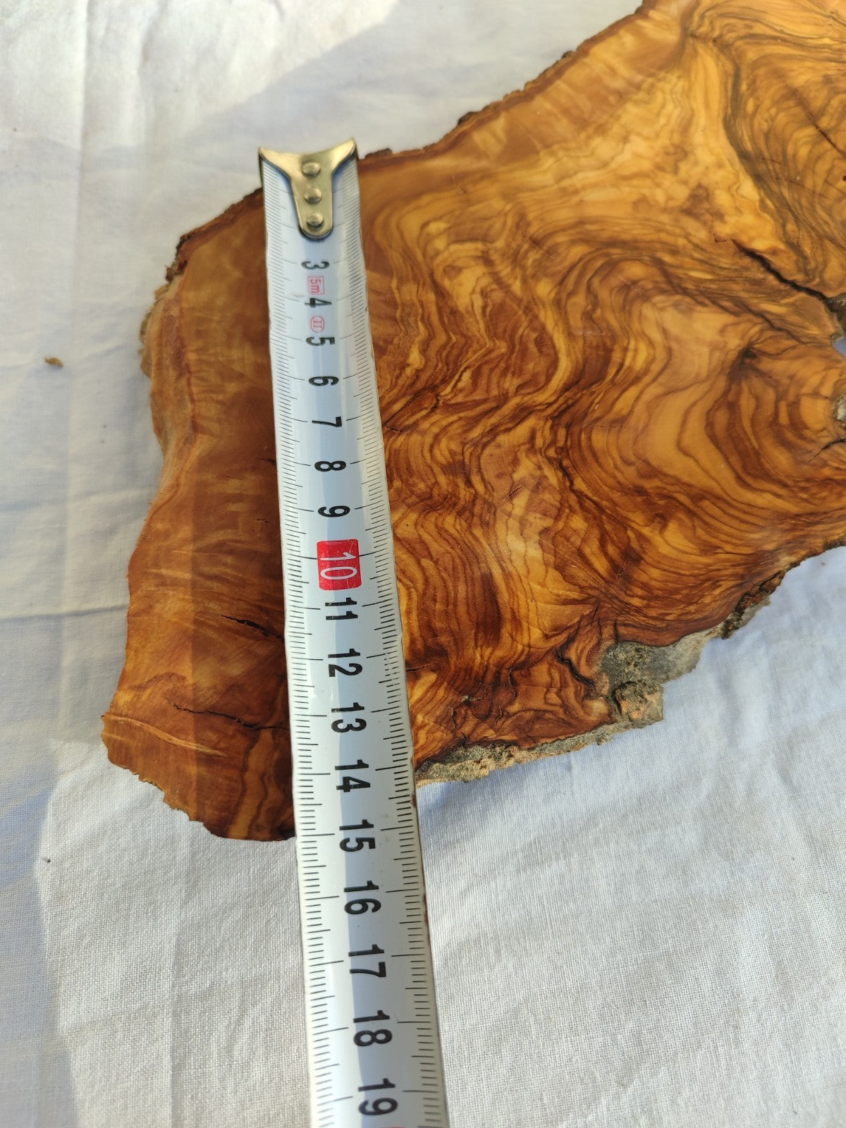 Long Olive Wood Slab | Live Edge Wood Slice for Sculptural Wall Art & Decor.