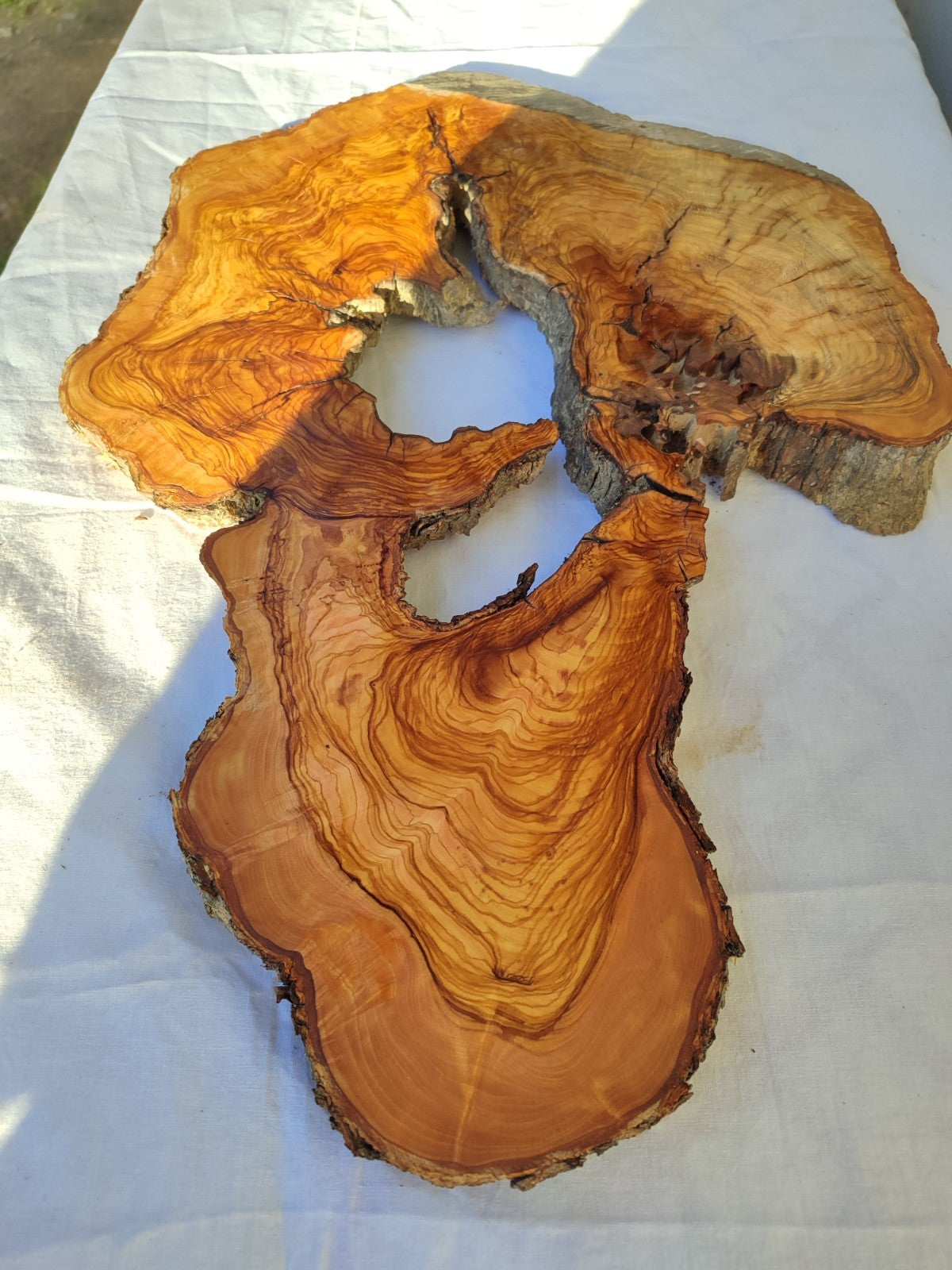 200+ Year Old Olive Wood Slab | Large Live Edge Olive Wood Slice with Voids.