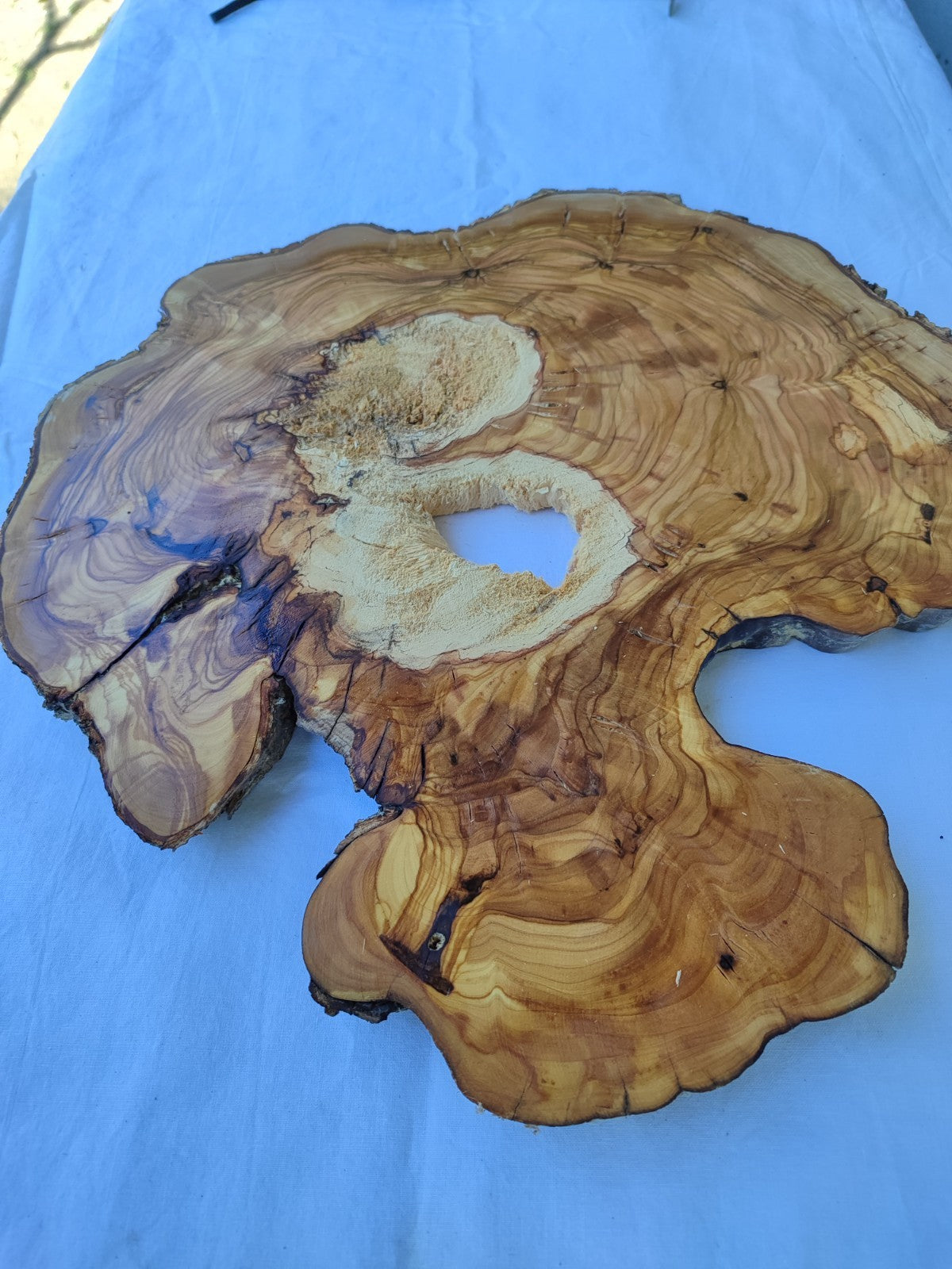 Natural 200+ Year Old Live Edge Wood Slice for Craft & Woodworking.