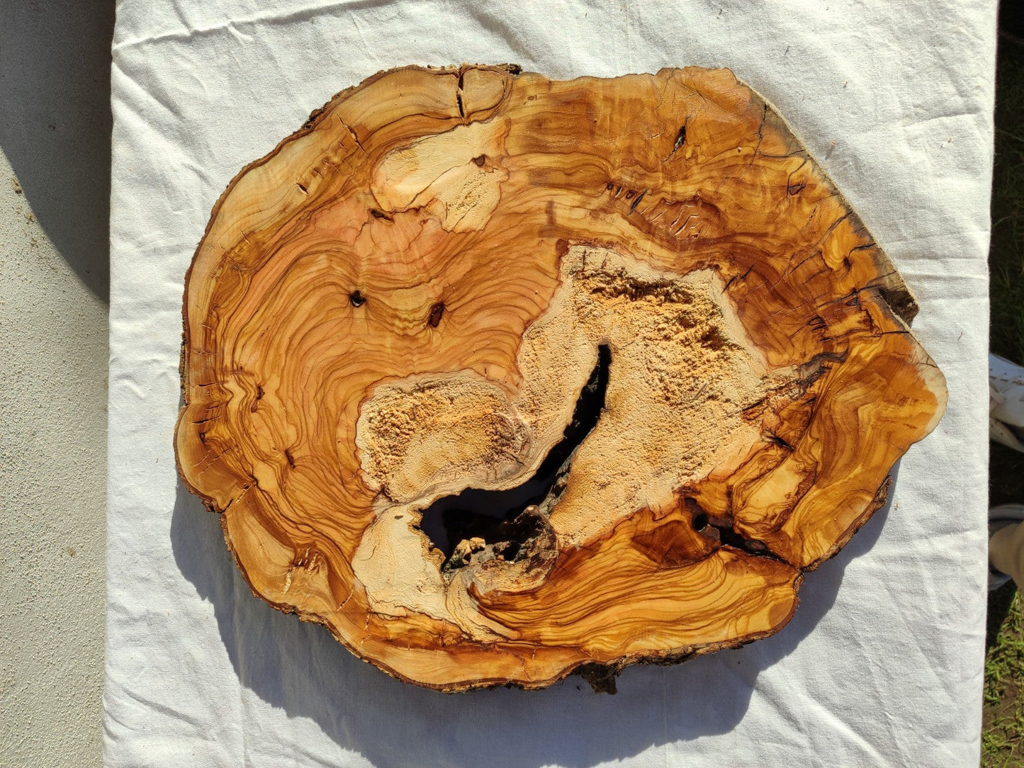 Natural Olive Wood Slab | Live Edge Olive Wood Slice for Craft, Woodworking.
