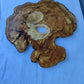 Natural 200+ Year Old Live Edge Wood Slice for Craft & Woodworking.