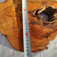 200+ Year Old Olive Wood Slab | Thick Live Edge Olive Wood Slice.