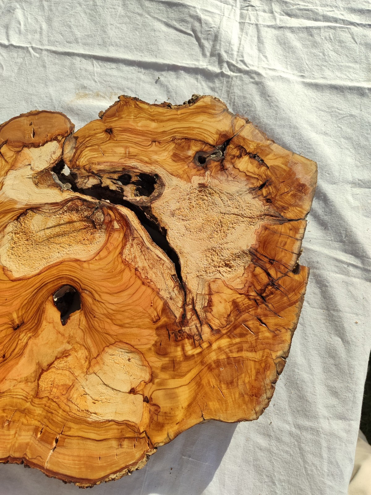 200+ Year Old Olive Wood Slab | Live Edge Olive Wood Slice for Epoxy.
