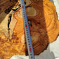 200+ Year Old Olive Wood Slab | Live Edge Olive Wood Slice for Epoxy Resin.