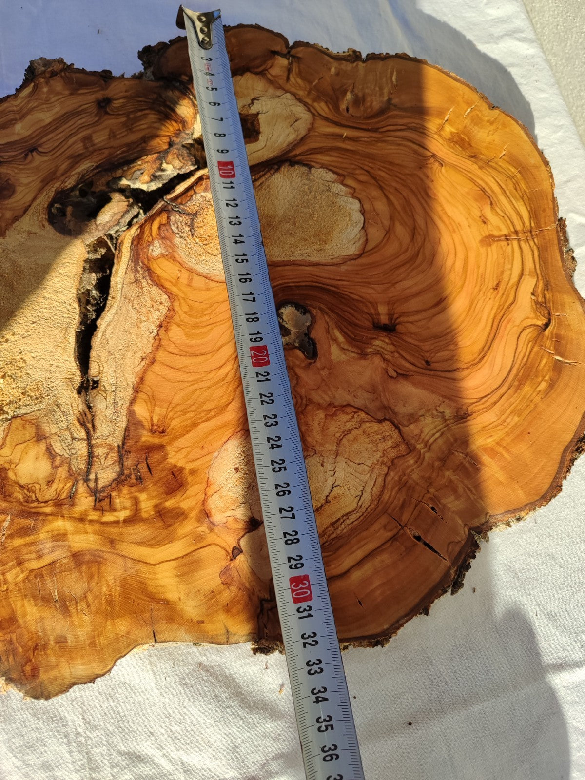 200+ Year Old Olive Wood Slab | Live Edge Olive Wood Slice for Epoxy Resin.