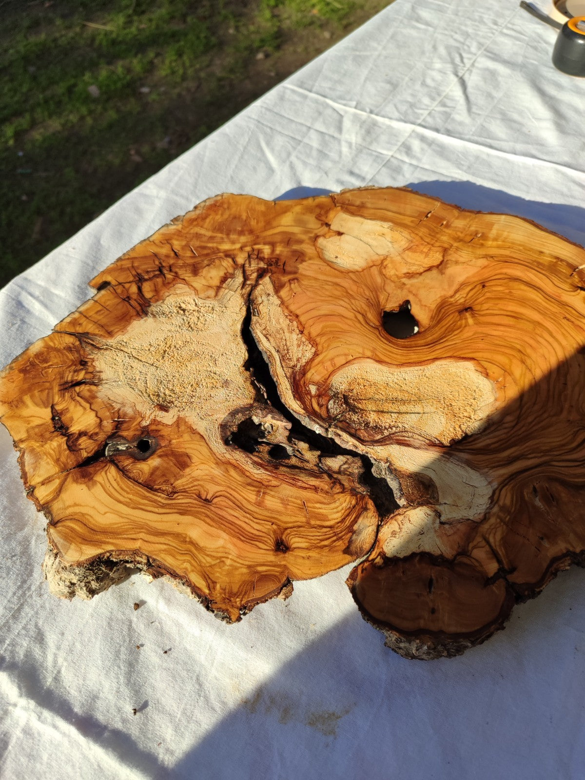 200+ Year Old Olive Wood Slab | Live Edge Olive Wood Slice for Epoxy.