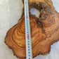 200+ Year Old Olive Wood Slab | Long Live Edge Olive Wood Slice.