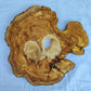 Natural 200+ Year Old Live Edge Wood Slice for Craft & Woodworking.