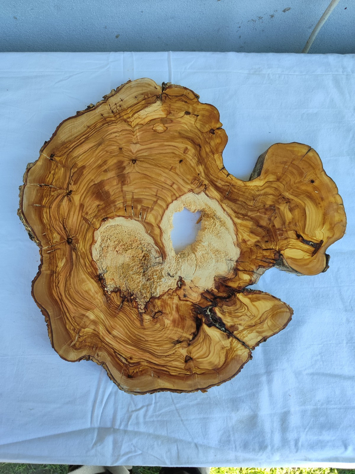 Natural 200+ Year Old Live Edge Wood Slice for Craft & Woodworking.