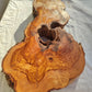 200+ Year Old Olive Wood Slab | Thick Live Edge Olive Wood Slice.