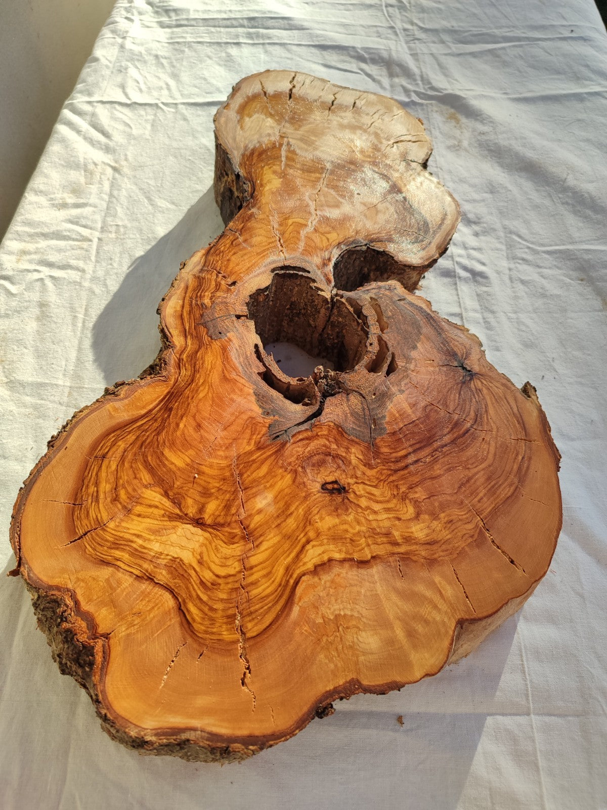 200+ Year Old Olive Wood Slab | Thick Live Edge Olive Wood Slice.